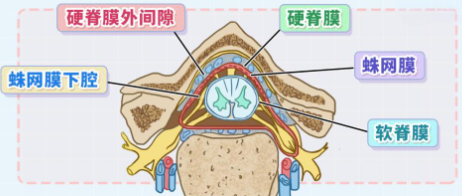 邵陽創(chuàng)傷骨科,邵陽風濕病區(qū),邵陽骨質(zhì)增生,邵陽關(guān)節(jié)病區(qū),邵陽頸椎病區(qū)